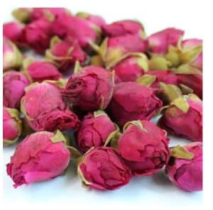 red rose buds | Pranalink
