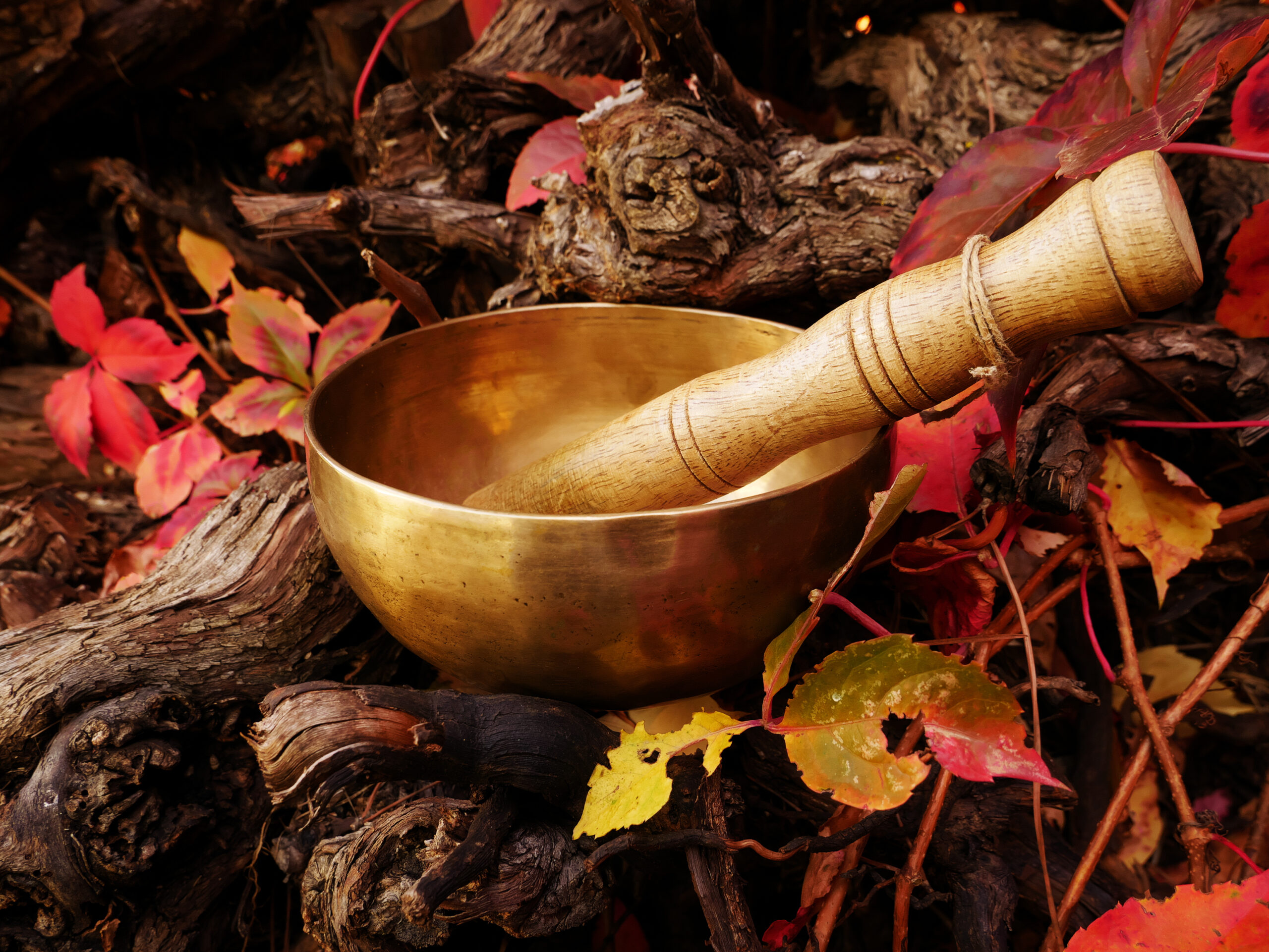singing bowl placed tree log surrounded by autumn leaves scaled | Pranalink