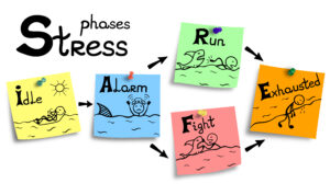 3 levels of stress | Pranalink