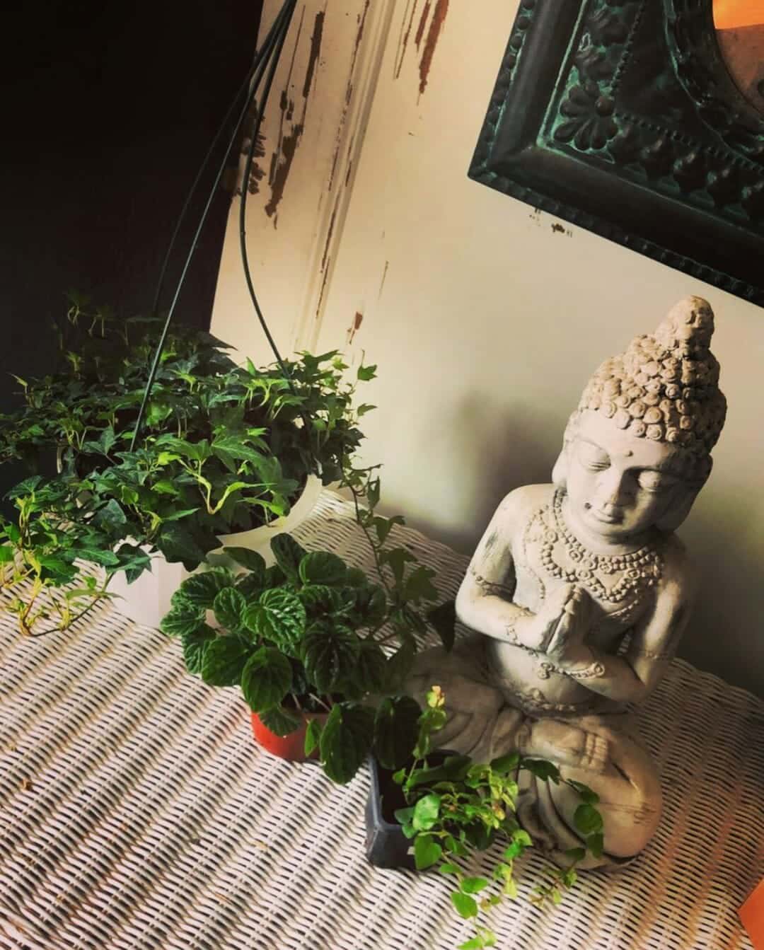 statue of buddha with plants