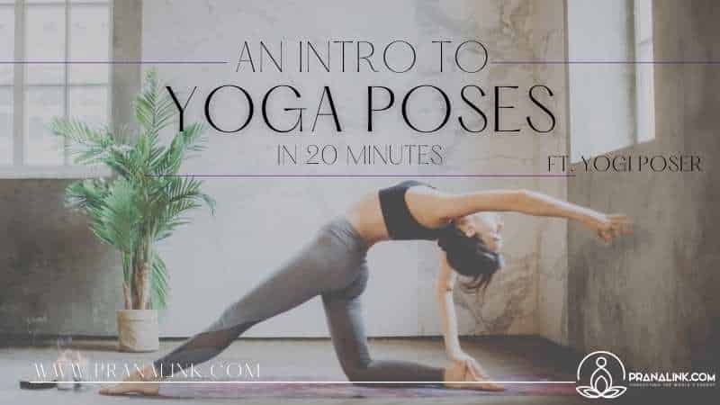 yoga poses