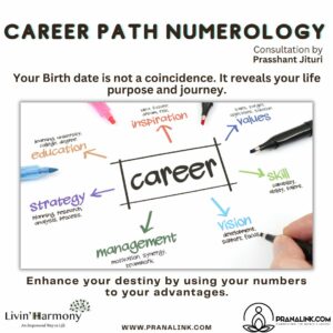Career Path Numerology