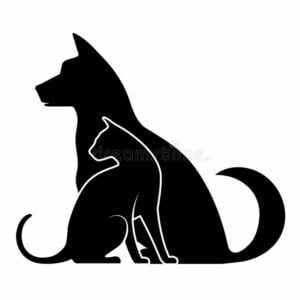 animal reiki