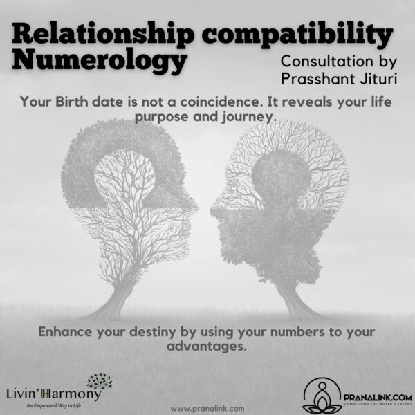 Relationship compatibility numerology