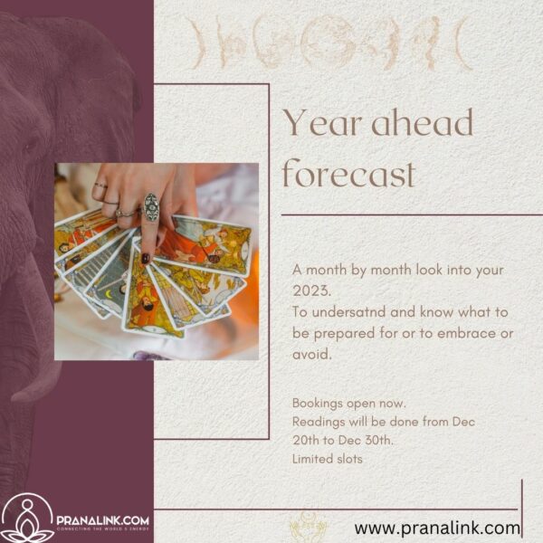 year ahead forecast