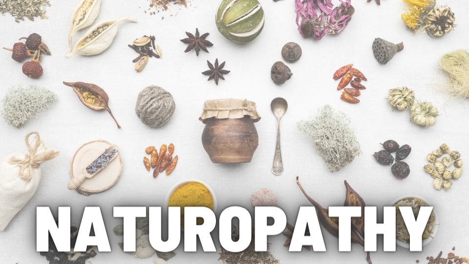 what is naturopathy