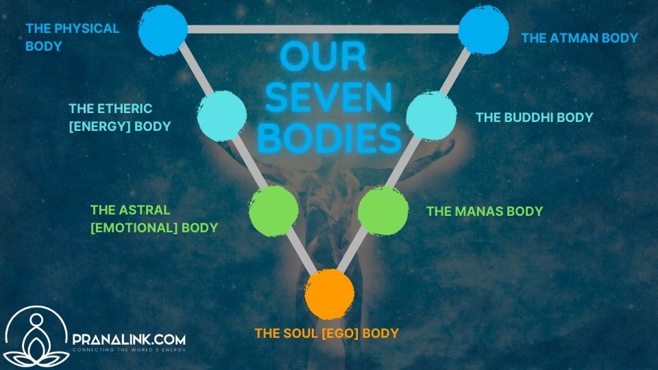 types of bodies