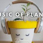 music of plants