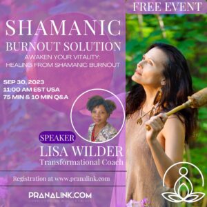 Burnout2 B | Pranalink