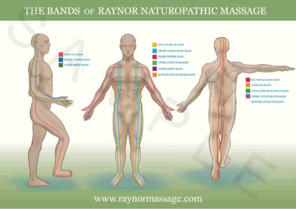 Raynormassage | Pranalink