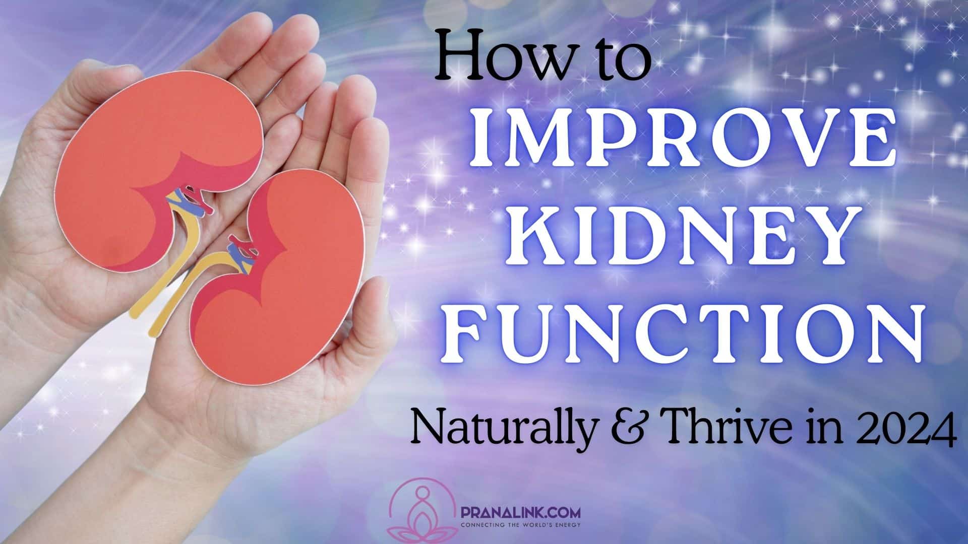 How to Improve Kidney Function Naturally & Thrive in 2024