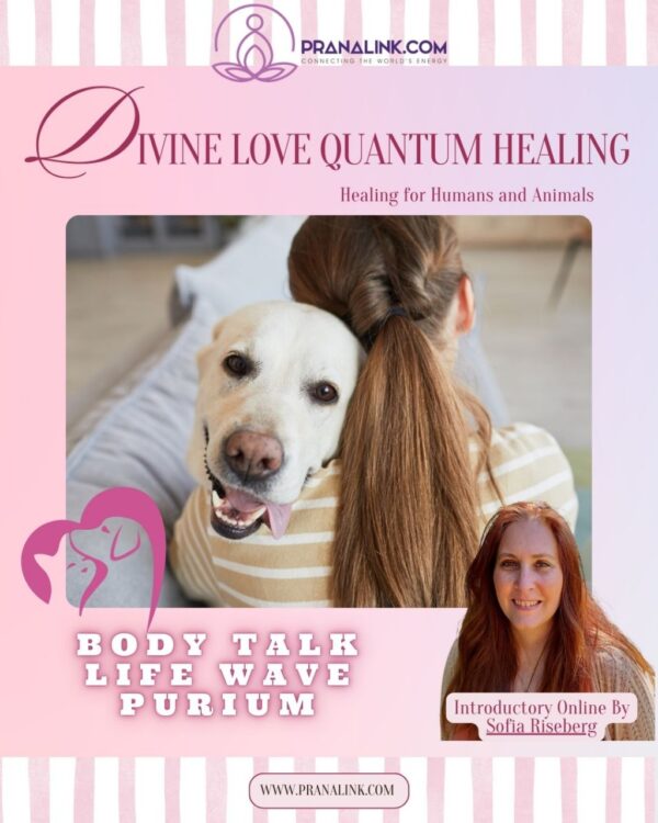 Animal Reiki - Introductory Session