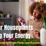 Home Gardening
