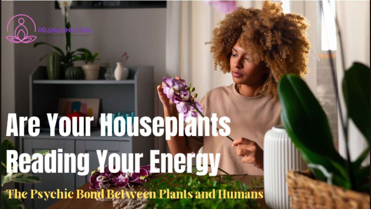 Home Gardening