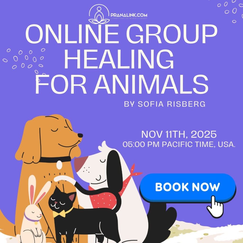 Group Healing for Animals