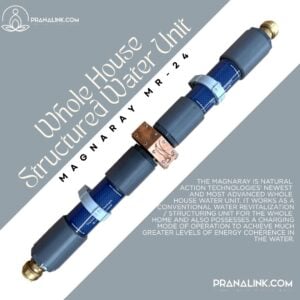 MagnaRay MR-24 Whole House Structured Water