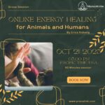 Online Energy Healing for animals and humans