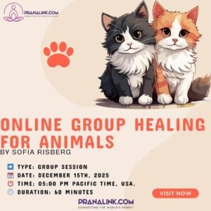 Group healing for Animals