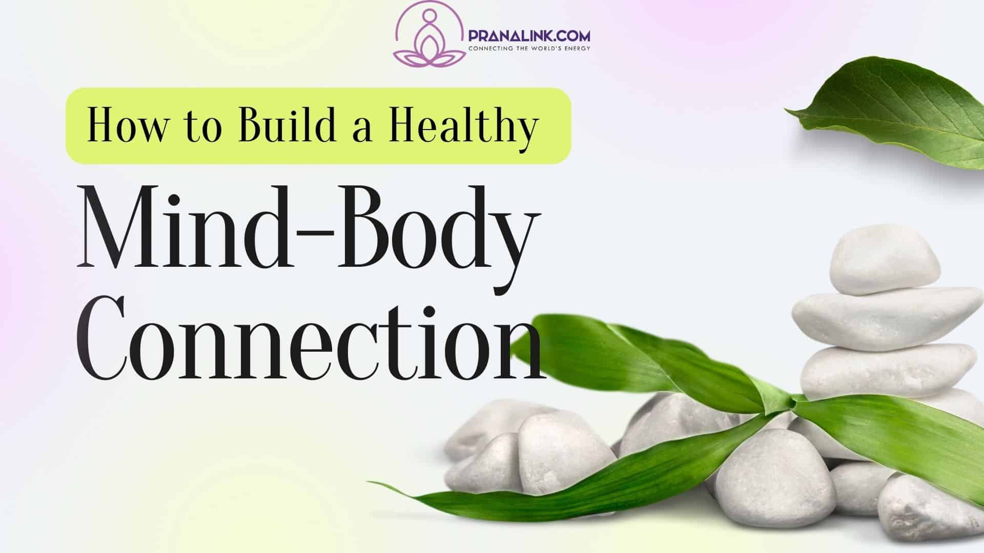 Mind Body Connection